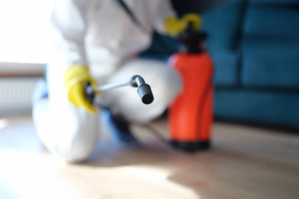 Professional Mold Inspection, Removal & Remediation in Woodbridge, VA